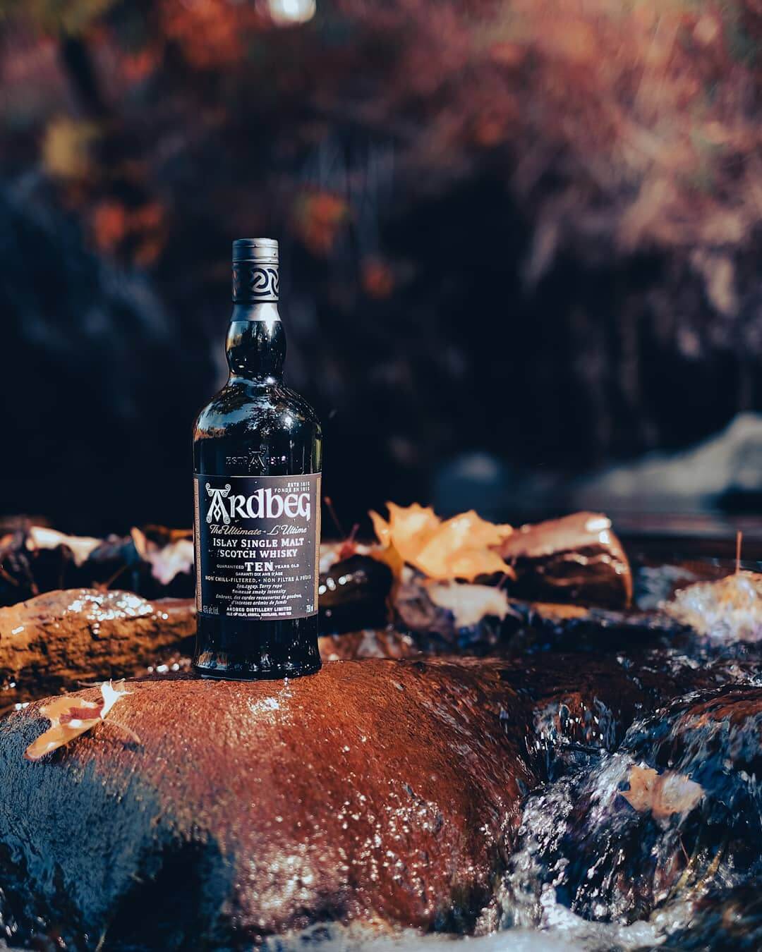 Ardbeg 10 Islay Single Malt Scotch Whisky